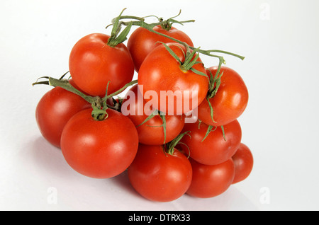 Pile de tomates mûries sur vigne blanche. Banque D'Images