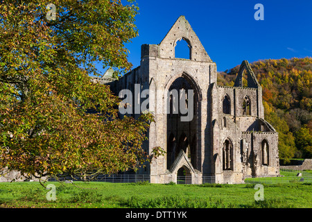 Abbaye de Tintern Wye Valley Monmouthshire Wales U.K. Banque D'Images