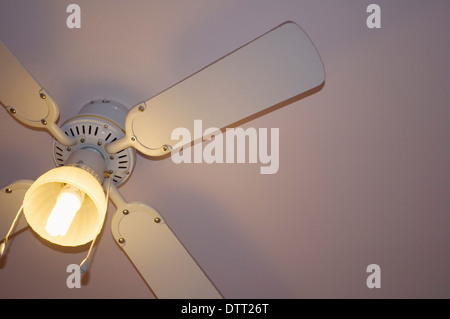 Ventilateur de plafond avec lampes à économie d'énergie Banque D'Images