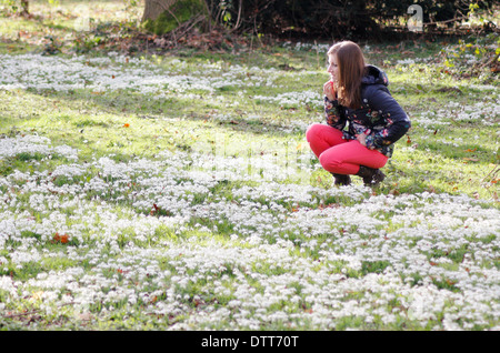 Jeune femme, début des années 20, en admirant les perce-neige (Galanthus nivalis) bois de feuillus en Hodsock au prieuré, Lancashire, England, UK Banque D'Images