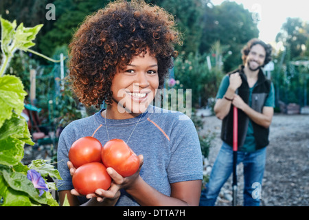 Mixed Race Woman picking tomatoes in garden Banque D'Images