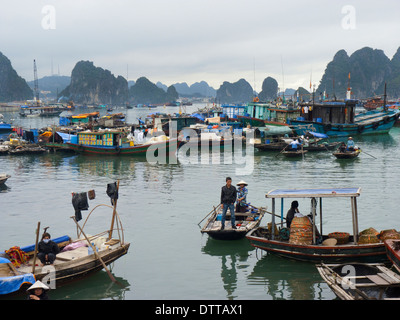 Bateaux de pêche dans le port de député gai à la fin de la baie de Ha Long, province de Quang Ninh, Vietnam Banque D'Images