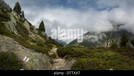 Sentier à Mt Blanc, Suisse Banque D'Images