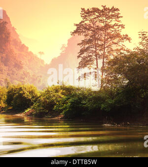 Jungle au Vietnam Banque D'Images