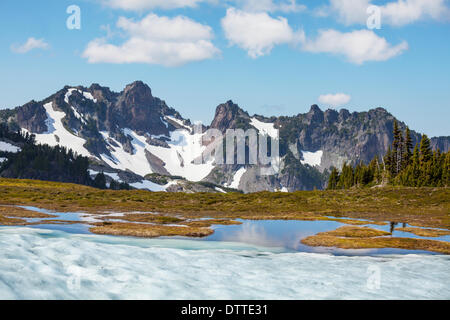 Domaine de Mt.Baker Banque D'Images