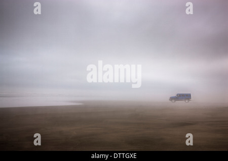 Chariot sur foggy beach Banque D'Images