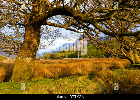 Château de Dolbadarn et Llanberis Gwynedd au Pays de Galles Snowdonia Col UK Banque D'Images