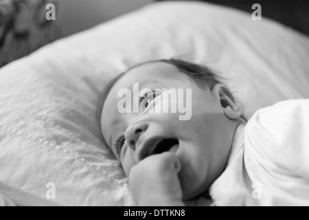 Caucasian baby boy laying on blanket Banque D'Images