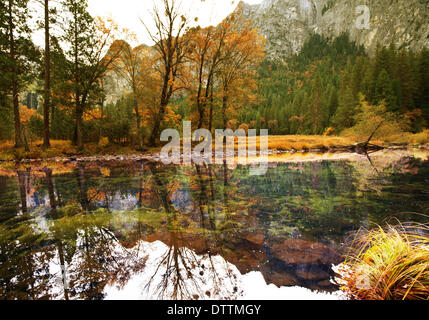 L'automne dans le parc Yosemite Banque D'Images