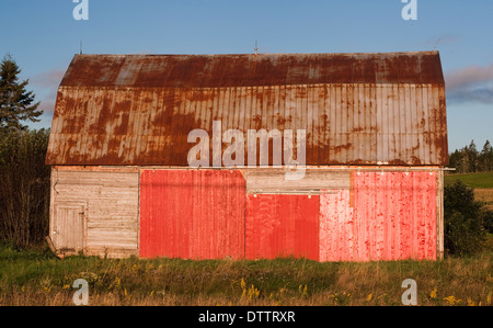 Ancienne grange avec de la peinture rouge pâle et toit rouillé Banque D'Images