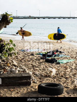 Un homme et une femme porter leur paddle boards sur la plage de Sainte Croix, îles Vierges américaines avant d'aller dans l'eau. Banque D'Images