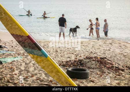 Un groupe de personnes jouer avec un chien sur la plage, tandis que deux personnes utilisent paddle boards dans les Caraïbes au large de Sainte Croix. Banque D'Images