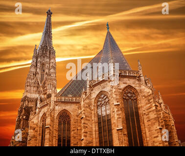 La cathédrale St Stephan à Vienne Banque D'Images