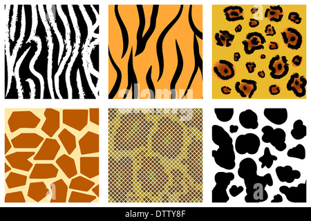 La peau animale seamless pattern set ( Illustration) Banque D'Images