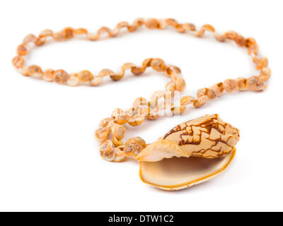 Collier de coquillages de mer Banque D'Images