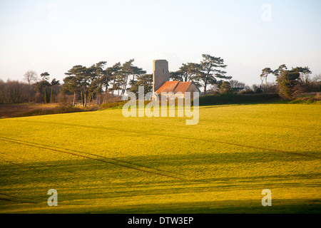 L'église All Saints à Waldringfield, Suffolk, Angleterre situé au milieu des champs et arbres Banque D'Images