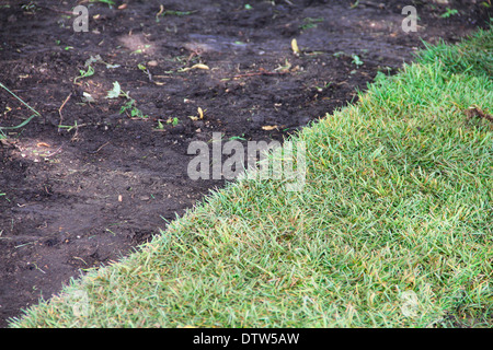 Gazon vert gazon et brown earth background Banque D'Images