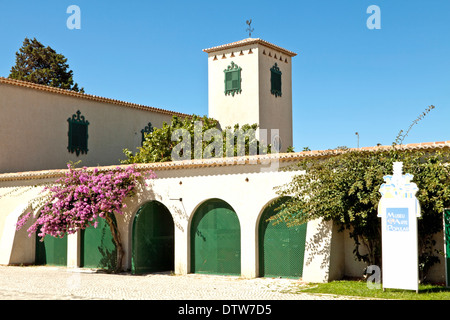 Bougainvilliers pourpres floraison au Musée d'art populaire, dans le centre-ville de Lisbonne, Belém, Portugal. Banque D'Images