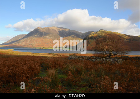 Crummock Water acoss vue vers Grasmoor , d'arbre d'automne entouré par un mur en pierre dans le Parc National de Lake District Banque D'Images