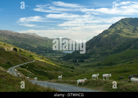 Le Parc National de Snowdonia au Pays de Galles Banque D'Images
