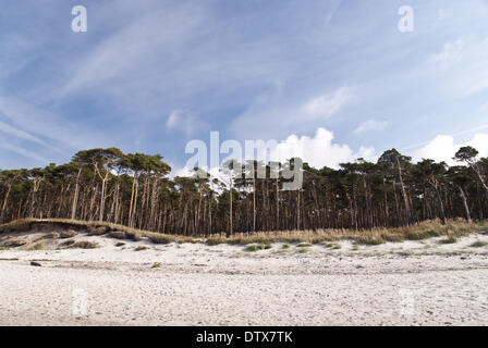 Plage de la mer Baltique Banque D'Images