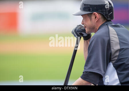 Tampa, Floride, USA. Feb 21, 2014. Ichiro Suzuki (Yankees) : MLB New York Yankees Spring Training camp de baseball au George M. Steinbrenner Field à Tampa, Florida, United States . © Thomas Anderson/AFLO/Alamy Live News Banque D'Images