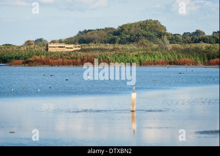 Titchwell Marsh nature reserve, Norfolk. Banque D'Images