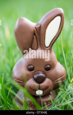 Lapin chocolat niché dans l'herbe Banque D'Images