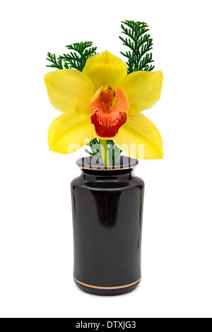Fleur jaune (orchidée) dans un vase Banque D'Images