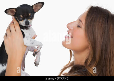 Smiling woman looking at son chihuahua Banque D'Images