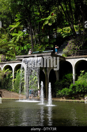 Funchal Madeira Portugal Cascade Jardins tropicaux de Monte Palace et lac Banque D'Images