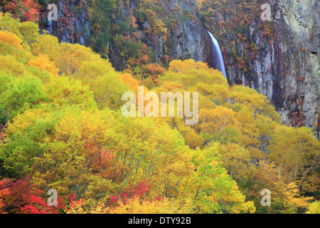 Yonago Falls, dans la préfecture de Nagano Banque D'Images