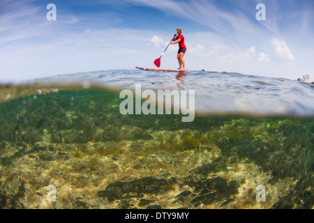 Une fille dans un rash vest paddleboards rouge dans les eaux claires du North Devon UK SUP (stand up paddleboarding) Banque D'Images
