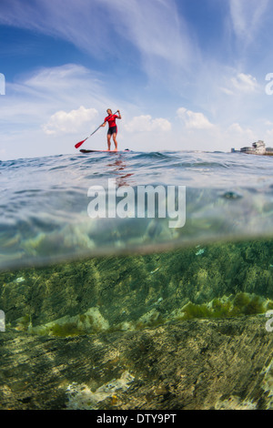 Une fille dans un rash vest paddleboards rouge dans les eaux claires du North Devon UK SUP (stand up paddleboarding) Banque D'Images