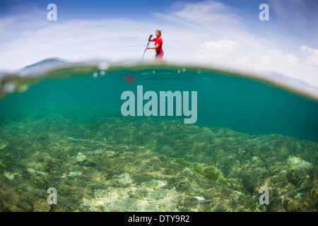 Une fille dans un rash vest paddleboards rouge dans les eaux claires du North Devon UK SUP (stand up paddleboarding) Banque D'Images