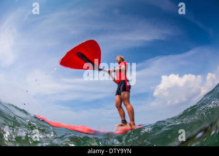Une fille dans un rash vest paddleboards rouge dans les eaux claires du North Devon UK SUP (stand up paddleboarding) Banque D'Images