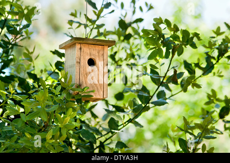 Wooden Birdhouse accroché dans l'arbre Handmade wooden birdhouse accroché dans un arbre au printemps Banque D'Images