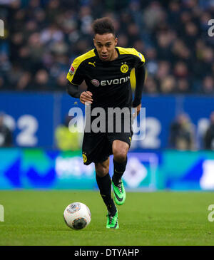 Hambourg, Allemagne. Feb 22, 2014. Pierre-Emerick Aubameyang de Dortmund en action au cours de la Bundesliga match de football entre le Hamburger SV et le Borussia Dortmund à l'Imtech Arena de Hambourg, Allemagne, 22 février 2014. Photo : Thomas Eisenhuth/DPA - AUCUN SERVICE DE FIL/KEIN BILDFUNK-/dpa/Alamy Live News Banque D'Images