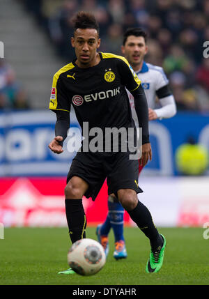 Hambourg, Allemagne. Feb 22, 2014. Pierre-Emerick Aubameyang de Dortmund en action au cours de la Bundesliga match de football entre le Hamburger SV et le Borussia Dortmund à l'Imtech Arena de Hambourg, Allemagne, 22 février 2014. Photo : Thomas Eisenhuth/DPA - AUCUN SERVICE DE FIL/KEIN BILDFUNK-/dpa/Alamy Live News Banque D'Images