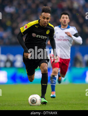 Hambourg, Allemagne. Feb 22, 2014. Pierre-Emerick Aubameyang de Dortmund en action au cours de la Bundesliga match de football entre le Hamburger SV et le Borussia Dortmund à l'Imtech Arena de Hambourg, Allemagne, 22 février 2014. Photo : Thomas Eisenhuth/DPA - AUCUN SERVICE DE FIL/KEIN BILDFUNK-/dpa/Alamy Live News Banque D'Images
