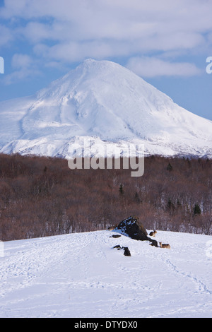 La neige à Hokkaido, Japon Banque D'Images