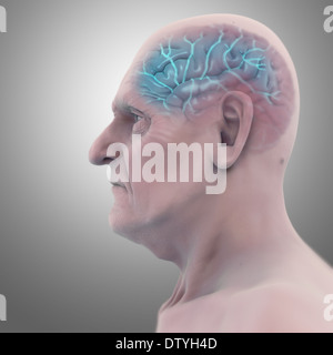 Cerveau gériatrique Banque D'Images