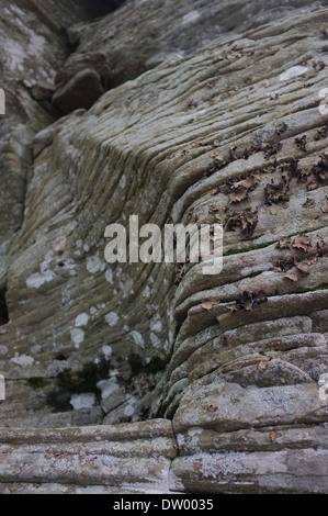 La pierre bleue, les rochers, les strates, les Catskills, Woodstock NY Banque D'Images