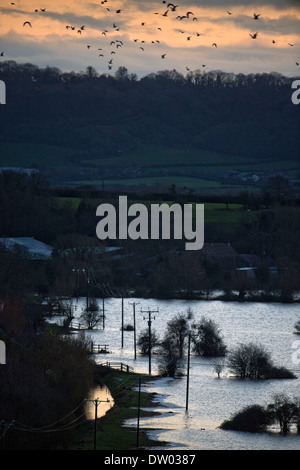 Les inondations sur les Somerset Levels - terres agricoles vu de Burrow Mump févr. 2014 Banque D'Images