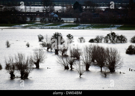 Les inondations sur les Somerset Levels - avec le débordement de la rivière Parrett au loin vue de Burrow Mump févr. 2014 Banque D'Images