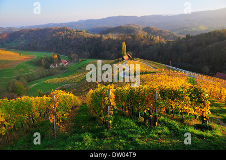 Herzlstraße ou coeur Street dans la lumière du soir, au sud de la Route des Vins de Styrie, Styrie, Autriche Banque D'Images