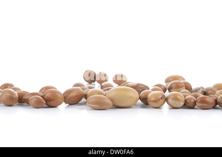 Grand groupe de noix d'argan sur un fond blanc. L'abondance de l'espace de copie. Studio shot horizontale. Banque D'Images