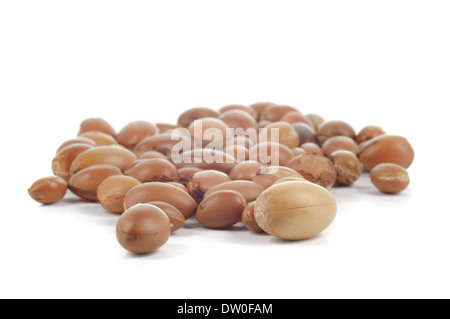 Grand groupe de noix d'argan sur fond blanc. L'abondance de l'espace de copie. Studio shot horizontale. Banque D'Images