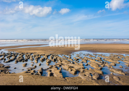 Des lits d'argile et de tourbe contenant une forêt ancienne exposées sur la plage à Westward Ho ! Peu après les tempêtes d'hiver de 2014. North Devon, Angleterre. Banque D'Images