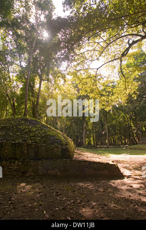 Les ruines mayas de Caracol, Belize Banque D'Images